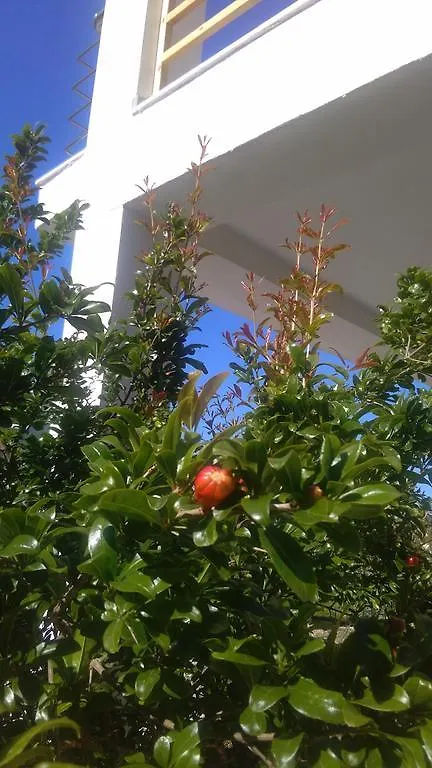 Guest House Solive Himare