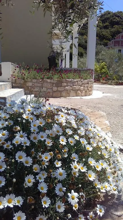 Guest House Solive Himare Albania